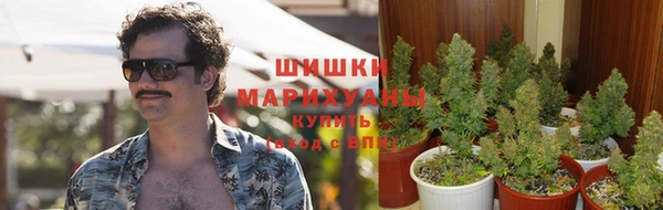 ГАЛЛЮЦИНОГЕННЫЕ ГРИБЫ Алексеевка