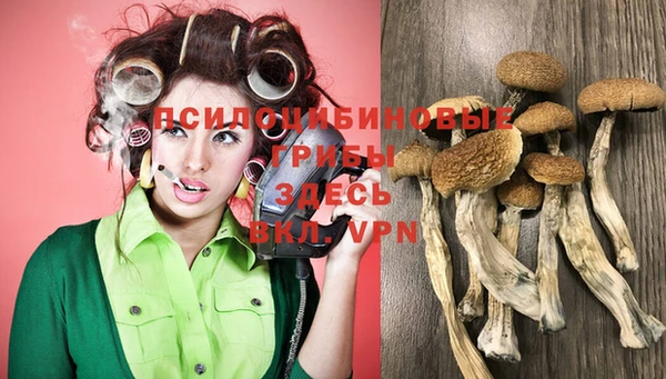 ГАЛЛЮЦИНОГЕННЫЕ ГРИБЫ Алексеевка